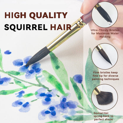 Paul Cezanne High Quality Squirrel Hair Paint Brushes Set (10 pcs) For Watercolour Gouache Ink Painting